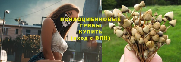дурь Белоозёрский
