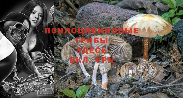 дурь Белоозёрский