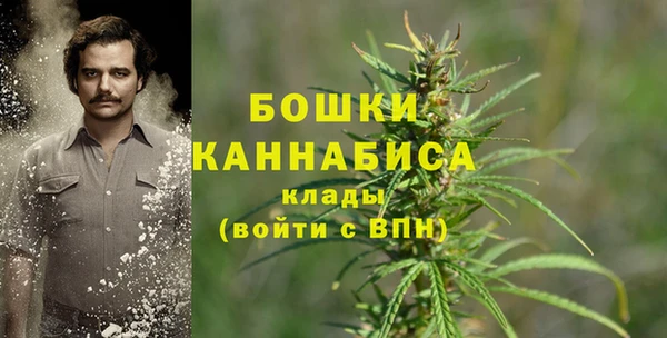 дурь Белоозёрский