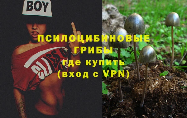 каннабис Беломорск